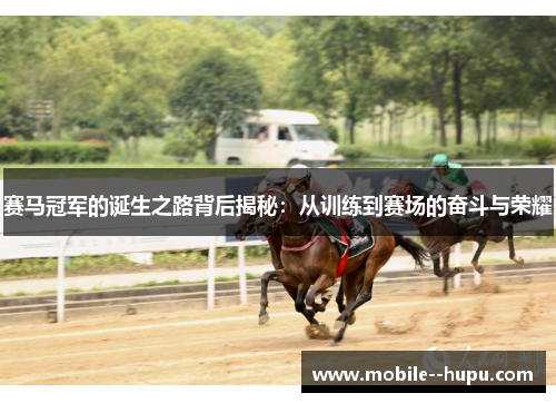赛马冠军的诞生之路背后揭秘：从训练到赛场的奋斗与荣耀
