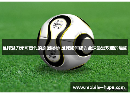 足球魅力无可替代的原因揭秘 足球如何成为全球最受欢迎的运动